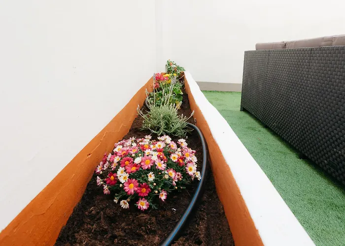 Amplio Cerca Centro Historico Y Turia 5pax 2 Bath Daire *