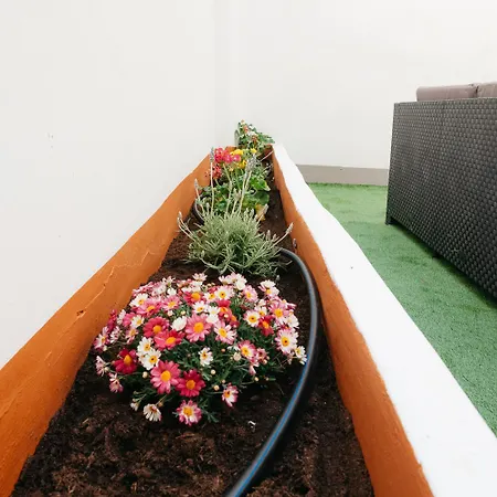 Amplio Cerca Centro Historico Y Turia 5pax 2 Bath Appartement *